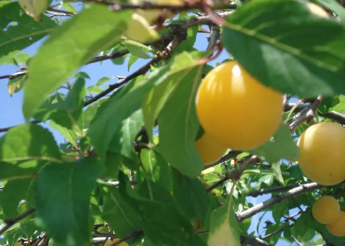 Апартаменты Besedic