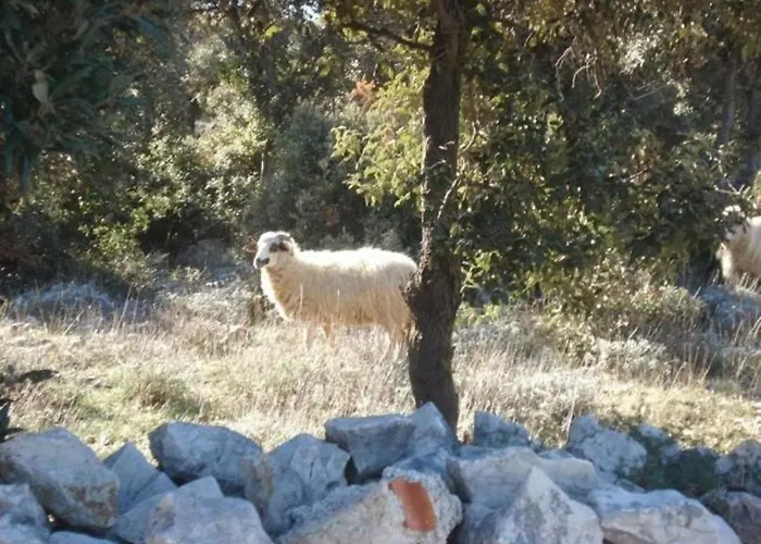 Besedic Мандре